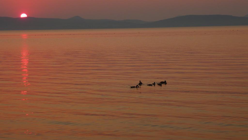 Aranyhid Hotel Balatonboglár Eksteriør billede